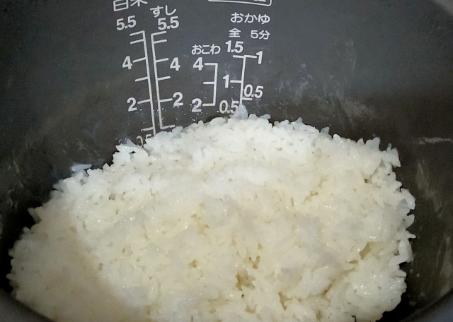 ご飯を炊飯器に入れたまんま